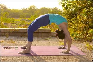 功夫瑜伽在线观看免费,免费在线观看，畅享东方传奇魅力